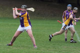 Mixed fortunes for Adult Hurling Championship Teams