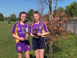 Skills are Shining in Purple and Gold 