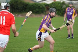 Intermediate Hurlers vs St Bridgets
