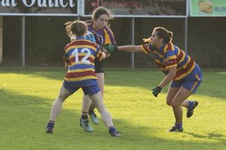 Junior Championship starts