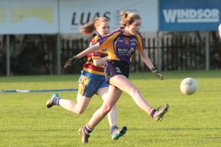 Junior Championship starts