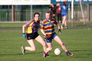 Junior Championship starts