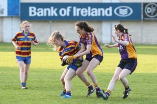 Junior Championship starts