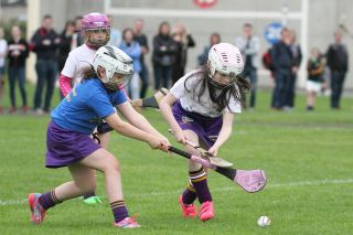 CAMOGIE AND Ladies Football MINI ALL IRELAND FINALS _ Continued