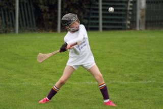 CAMOGIE AND Ladies Football MINI ALL IRELAND FINALS _ Continued