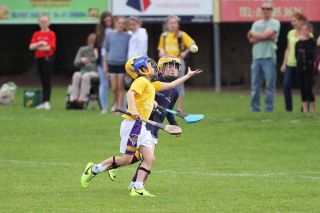 Hurling Mini All Ireland Finals