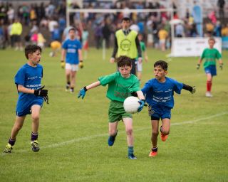 More Mini All Ireland Shots