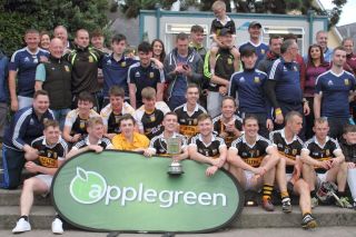Beagh (Galway) win the 2017 Applegreen All Ireland Hurling 7s