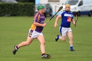 Good win for Junior Hurlers