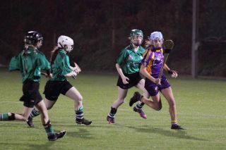 Ladies lose out to Lucan in Championship Final