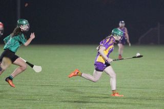 Ladies lose out to Lucan in Championship Final