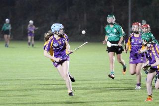 Ladies lose out to Lucan in Championship Final