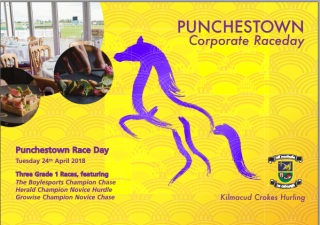 Punchestown 2018 Corporate Raceday