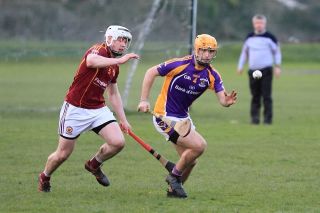 Good start to Championship for Seniors