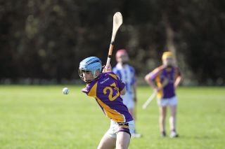 Hurling Féile Photos