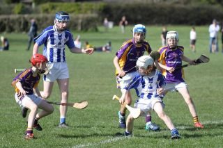 Hurling Féile Photos