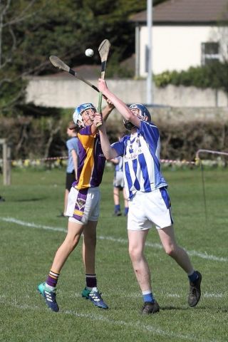 Hurling Féile Photos