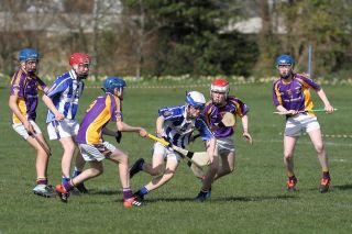 Hurling Féile Photos