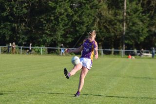 Kilmacud Crokes V Thomas Davis - Intermediate Championship