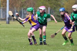 KIlmacud Crokes in Action in Division 1 Feile At the Weekend
