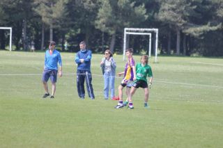 Feile Update