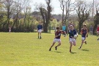 Feile Update