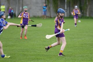Very good performance for U16A camogie team