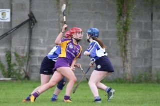 Very good performance for U16A camogie team