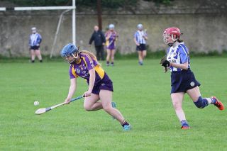 Very good performance for U16A camogie team