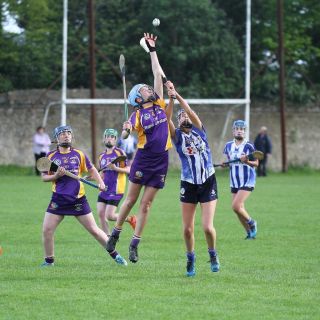 Very good performance for U16A camogie team