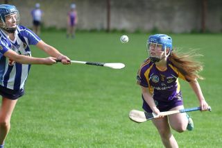 Very good performance for U16A camogie team