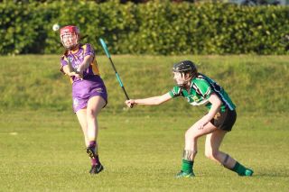 SeniorA Camogie team vs Erins Isle