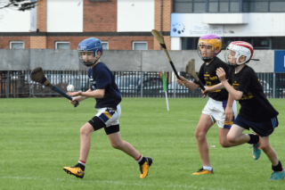 Photos from Mini All Ireland Hurling Finals