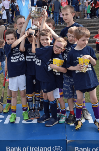 Photos from Mini All Ireland Hurling Finals