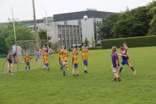 Crokes Under 9 Festival Of Football June 2nd UCD