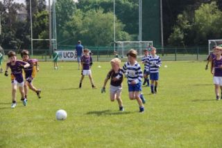 Crokes Under 9 Festival Of Football June 2nd UCD