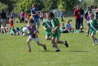 Crokes Under 9 Festival Of Football June 2nd UCD