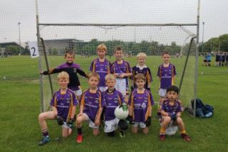 Crokes Under 9 Festival Of Football June 2nd UCD