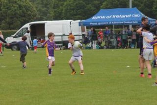 Crokes Under 9 Festival Of Football June 2nd UCD