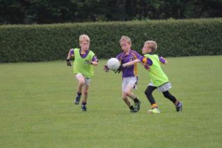 Crokes Under 9 Festival Of Football June 2nd UCD