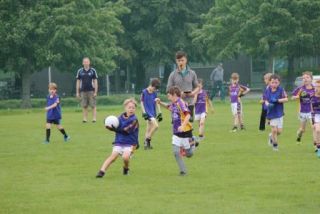 Crokes Under 9 Festival Of Football June 2nd UCD