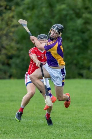 Senior B Championship Match Kilmacud Crokes v St Pats. 
