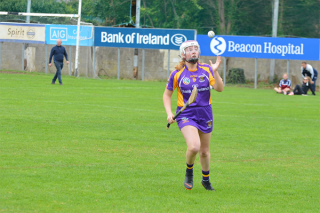 All Ireland Camogie 7's