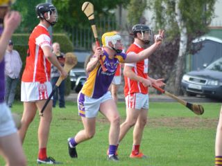 Intermediate Hurling Championship - Loss by 2 points to Cuala.