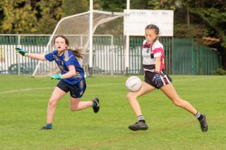Chill Kilmacud Crokes Ladies Football All Ireland7's Saturday Sept 15th