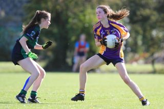 U15A Ladies Win County Football Championship