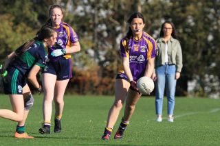 U15A Ladies Win County Football Championship