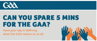 GAA Brand Survey 