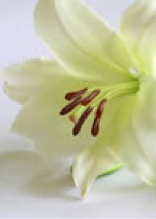 Death Notice - JJ Mulroe RIP