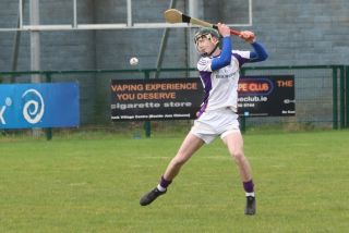 Senior ‘B’ Hurler’s good win over Parnell’s in Opening League Game of the 2019 Season